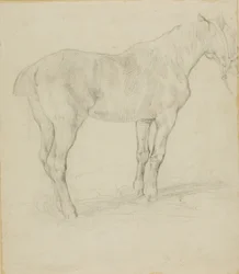 Standing Horse