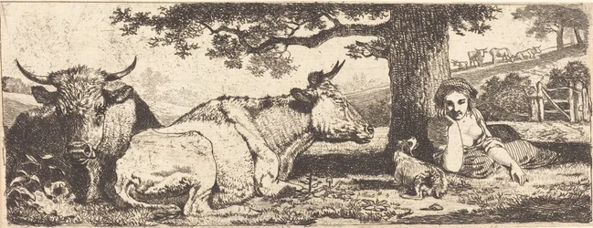 Two Cows and a Woman Lying Down