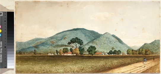 The St. Clare Sugar Factory, Port of Spain, Trinidad