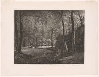 The Forest of Rochecardon