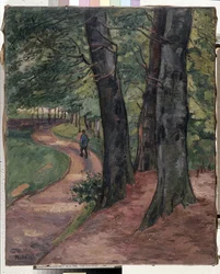 The Edge of the Forest of Eu