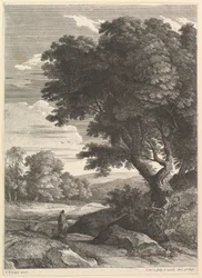The Cavalier