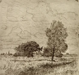 Summer Wind