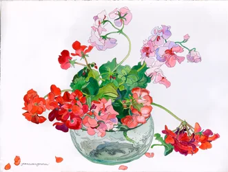 Geraniums at Ease in Glass Bowl