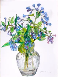 Virginia Blue Bells in Narrow Necked Vase, 2006