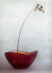 Delicate Autumn Still Life