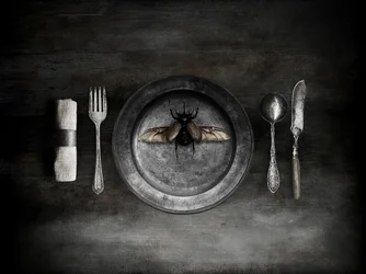 Unsettling Beetle Meal
