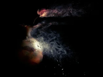 Vanishing Floral Dust