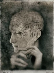 Vintage Phrenology Study