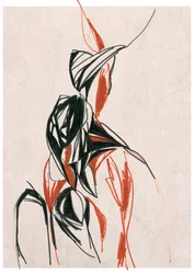 Dynamic Red Black Form