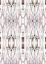 Symmetrical Nature Pattern
