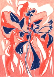 Vibrant Coral Botanicals