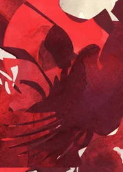 Vibrant Crimson Petals