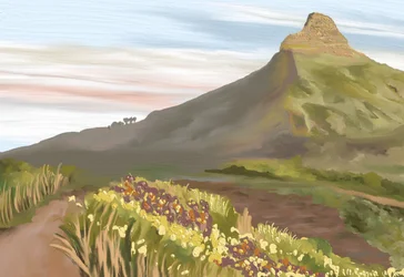 Wildflower Mountain Trail