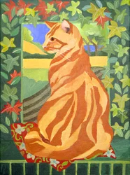Cat 1