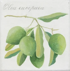 Green Olives