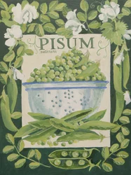 Pisum, Peas