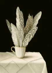 Cup of Feathers