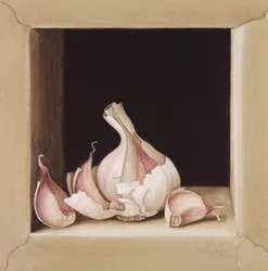 Garlic