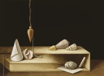 Optical Illusion, 2005