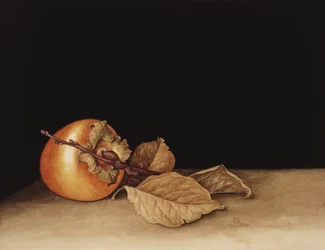 Persimmon, 2004