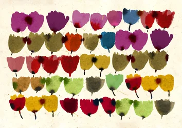 Forty Five Tulips, 2023