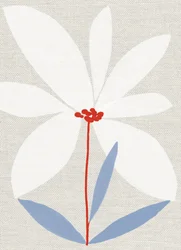 Printed Daisy