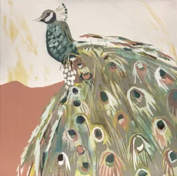 Peacock Salmon