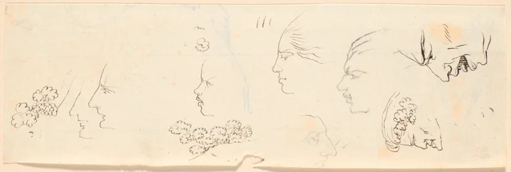 Various Profile Sketches