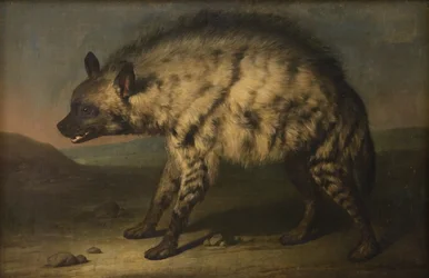 The Hyena in the Menagerie at Frederiksberg Palace