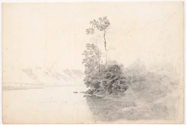 Swiss Landscape with Trees on a Peninsula in a Lake