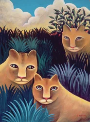 In the Bush