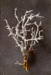 January (from a series of twelve)