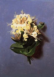 July (from a series of twelve)