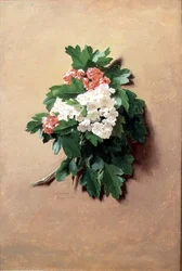 May (from a series of twelve)