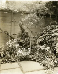 Mr & Mrs John Morgan, 39 W 11 St, Greenwich Village, New York, USA, c.1939-40