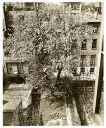 Mrs. W. H. Wells, 265 W 11th