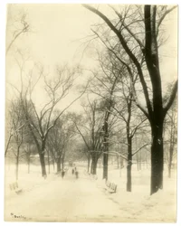 The Common, Boston, USA, c.1902-10