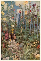 The Flowers