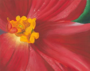 Vibrant Red Bloom