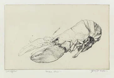 Lobster