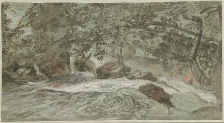 Rapids with Overhanging Branches