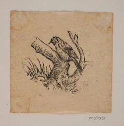 A woodpecker
