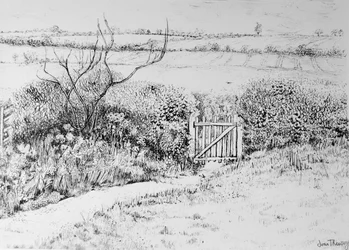 Cottage Gate and View Beyond, 2015