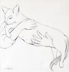 Cuddly Cat, 2000