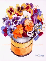 Pansies in a Midwinter Jug
