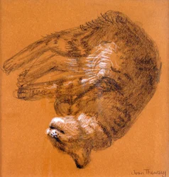 Sleeping Tabby Cat, 2005