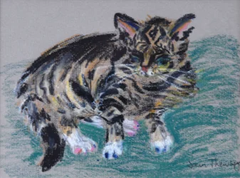 Tabby Cat, 2005