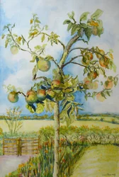 The Apple Tree, 2001