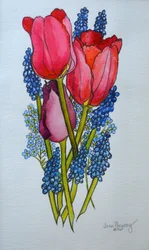 Tulips, Muscari and Forget-me-nots, 2002